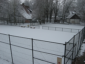 image-2071