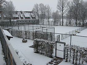 image-2068