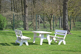 image-2779